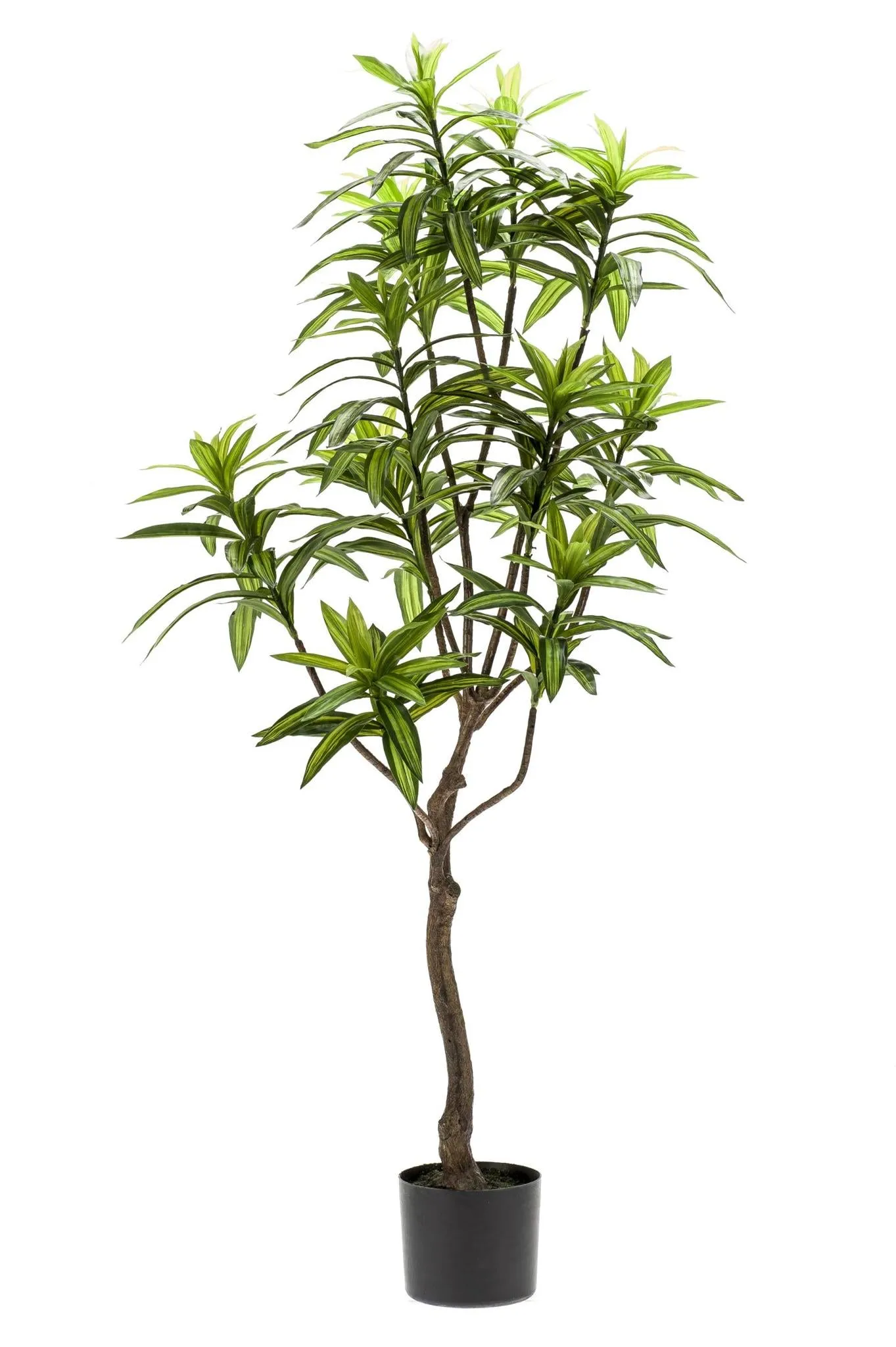 Dracaena - Dragon tree - 130 cm - Artificial plant