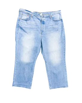 Size 40 | Levi's Light Wash Blue Ribcage Straight Ankle Jeans